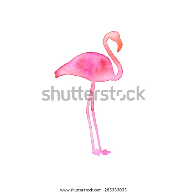 Vector De Stock Libre De Regalias Sobre Flamingo Silueta De Pajaro Dibujada A285333035
