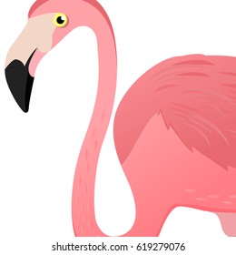 Flamingo head. Vector illustration. Poster with flamingo logo. Cute tropic exotic bird. Isolated on white background. Decorative flat design element.