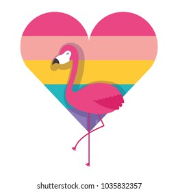flamingo and heart love with color rainbow