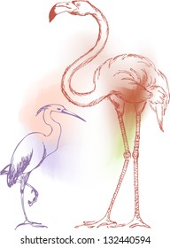 flamingo and heron color vector