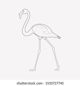 Flamingo icon line element. Vector illustration of flamingo icon line isolated on clean background for your web mobile app logo design.