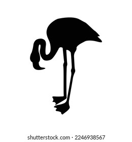 flamingo icon vector illustration design