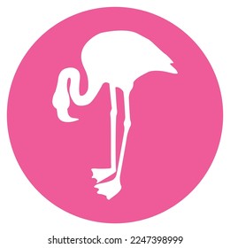 flamingo icon vector illustration design