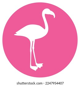 flamingo icon vector illustration design