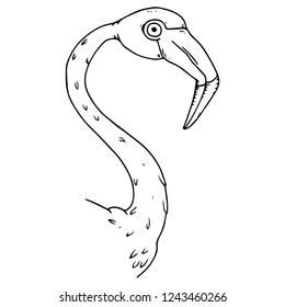 Flamingo icon. Vector illustration of a flamingo. Flamingo hand drawn.