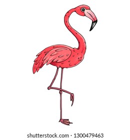 Flamingo icon. Vector illustration of a flamingo. Flamingo hand drawn.
