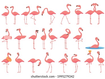 Flamingo-Symbole gesetzt. Cartoon-Set flamingo-Vektorsymbole für Webdesign