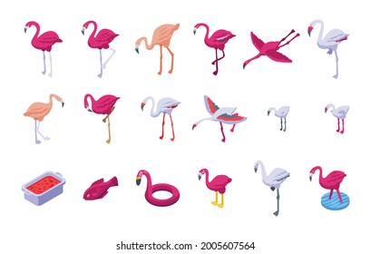 Fijación de iconos de flamenco. Conjunto isométrico de iconos vectoriales flamingo para diseño web aislados en fondo blanco