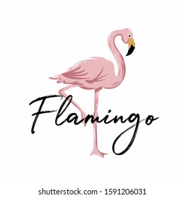 Flamingo illustration design. wildlife vector