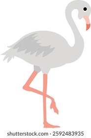 Flamingo Illustration - Elegant Standing Bird Vector Art