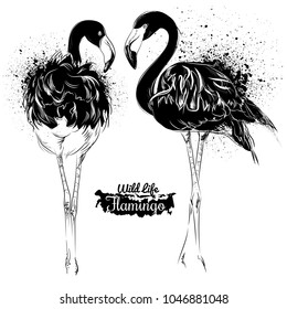 Flamingo. Illustration in grunge style