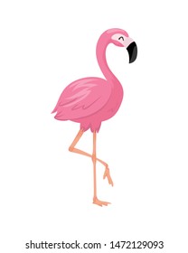 flamingo illustration and stock vector