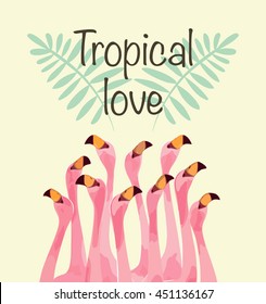 Flamingo illustration for Tropical love