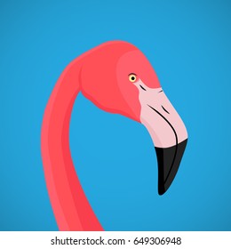 Flamingo illustration. Vector art.