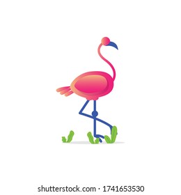 Flamingo illustration vector design isolated on white background
