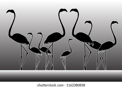 flamingo illustration vector image