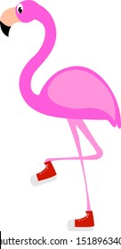 Flamingo, Illustration, Vektorgrafik auf weißem Hintergrund.