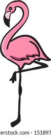 Flamingo, ilustración, vector sobre fondo blanco.