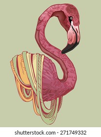 Flamingo  image design for postcard, poster, label, wallpaper and other decoration needs. 