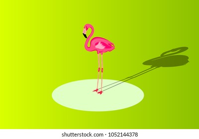 Flamingo isolated with long shadow on yellow-green background