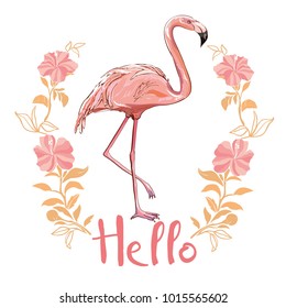 Flamingo isolated on background. Pink flamingo standing on one leg. African exotic bird. 