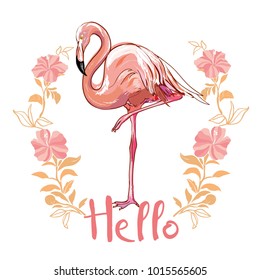 Flamingo isolated on background. Pink flamingo standing on one leg. African exotic bird. 