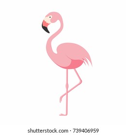 Flamingo isolated on background. Pink flamingo standing on one leg. African exotic bird. Vector