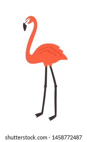 Flamingo isolated on white background. Graceful exotic tropical bird with bright pink plumage. Cute adorable avian. Wild fauna of tropics or jungle. Vector illustration in flat cartoon style.