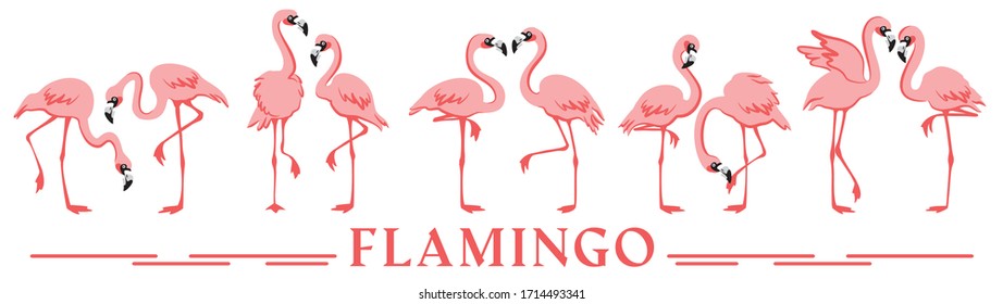 Flamingo isolated on a white background - vector set.