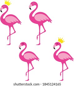 Flamingo Isolated on White Background
