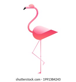 The flamingo isolated on white background. Vector illustration of tropical birds