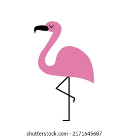 Flamingo isolated on white background. Vector illustration