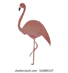 Flamingo isolated on white background. Hand-drawn vector illustration.