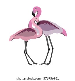 Flamingo isolated on white background. Vector illustration.