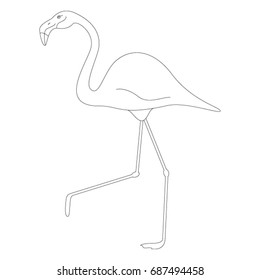 Flamingo isolated on white background. Vector illustration