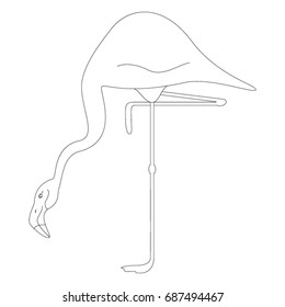 Flamingo isolated on white background. Vector illustration