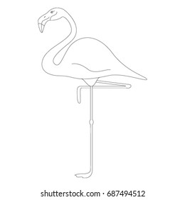 Flamingo isolated on white background. Vector illustration