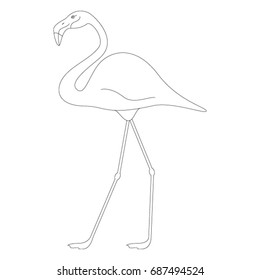 Flamingo isolated on white background. Vector illustration