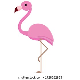 Flamingo Kawaii Cute Bird Pink Baby Animal Cartoon Illustration Vector