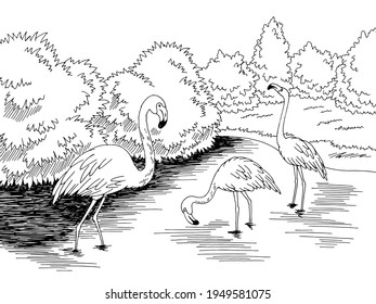 Flamingo lake bird graphic black white landscape sketch illustration vector