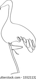Flamingo. Line art illlustraton. Sketch. Isolated element on white background. Vector. 