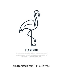 Flamingo line icon. Wild bird symbol. Liner style. Vector illustration.