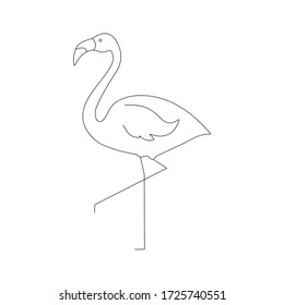 Flamingo line vector illustration isolated on white