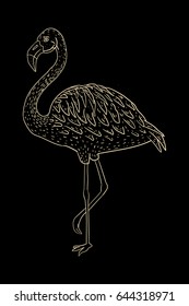 Flamingo line vector illustration. Vintage. Black