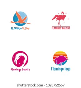 Flamingo Logo Design