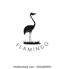 Flamingo  logo design concept template vector icon