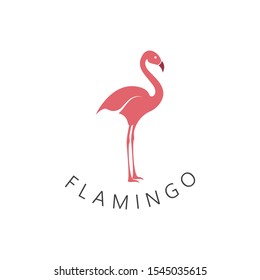 Flamingo logo design concept vector, Lone Flamingo bird logo template