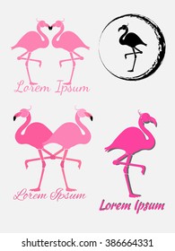 Flamingo logo and icon set. Isolated on gray background