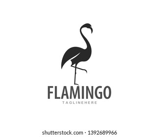 Flamingo logo ilustration vector template