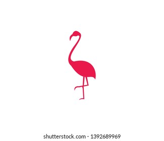 Flamingo logo ilustration vector template
